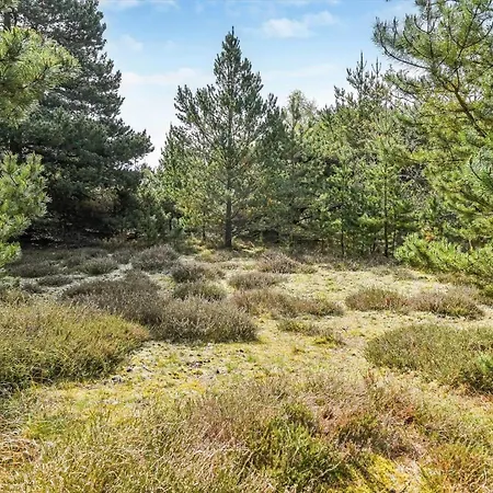 Bv386-blavand-norballevej-51 *