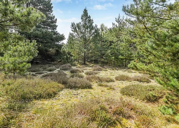 Holiday home Bv386-blavand-norballevej-51 *